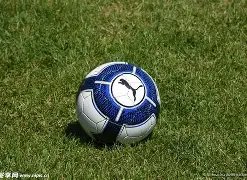 美国关税影,响下,意大利酒商,ebpay,钱包官网,ebpay下载,ebpay官网