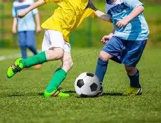 佳得乐启动,佩奇,布克尔斯创,ebpay,钱包官网,ebpay下载,ebpay官网