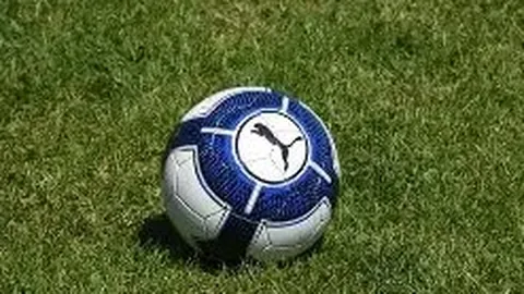 “美国关税影响下，意大利酒商可能调整国际出口策略”