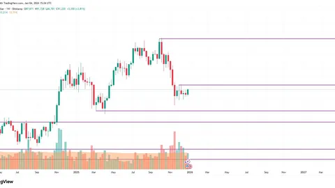 瑞士女排顶级赛事宣布终止举办，回顾历届中国女排参赛辉煌战绩