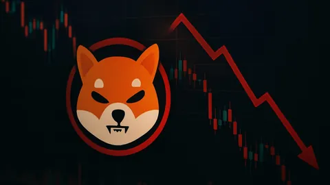 拜仁再次慷慨捐赠35万欧元支持业余俱乐部