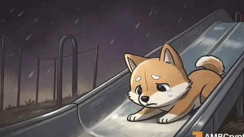 国奥阵容迎来两国安球员，黄紫昌伤愈重返赛场